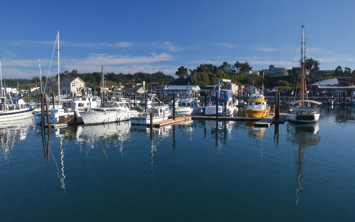 Bandon's marina
